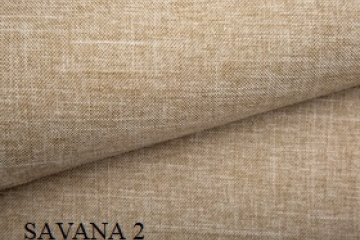 Savana 2